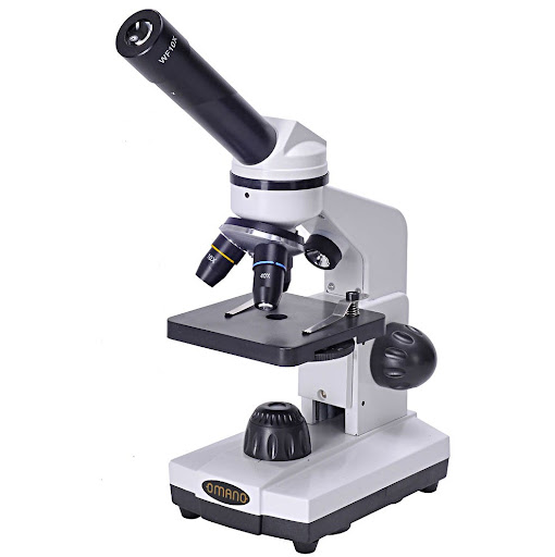 میکروسکوپ پلاریزاسیون