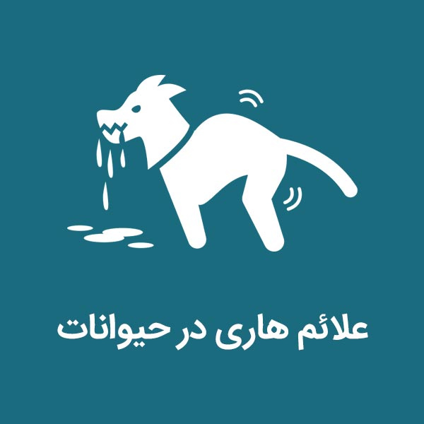 هاری