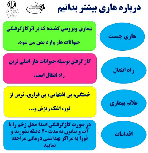 هاری