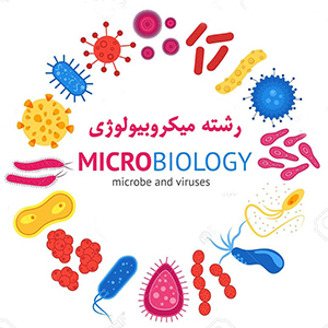میکروبیولوژی و مطالعه میکروارگانیسم