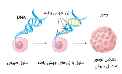 ژنتیک